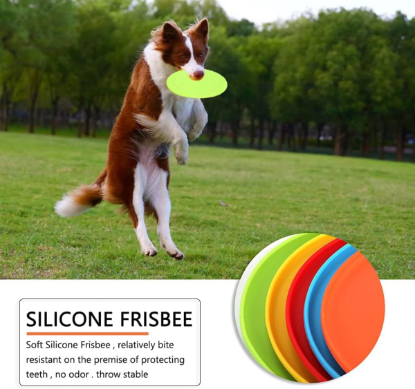 Frisbees para Perro - Image 4