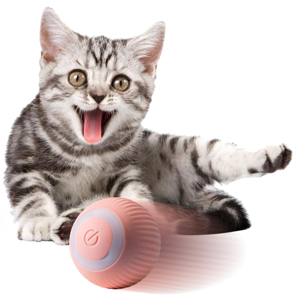 Pelota Inteligente Recargable para gatos y perros pequeños - Image 14