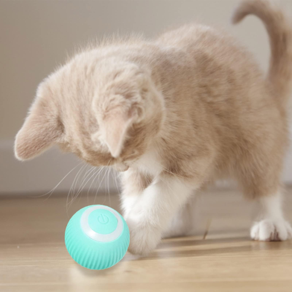 Pelota Inteligente Recargable para gatos y perros pequeños - Image 17