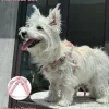 Arnés Pequeño - Diseño chic moño con Correa - Image 7