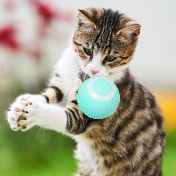 Pelota Inteligente Recargable para gatos y perros pequeños - Image 15