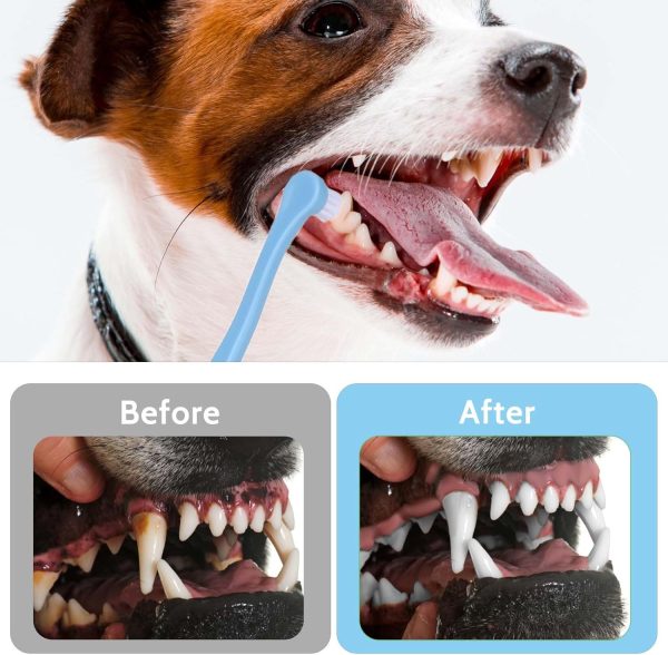 Cepillo de Dientes para Mascotas - Image 11