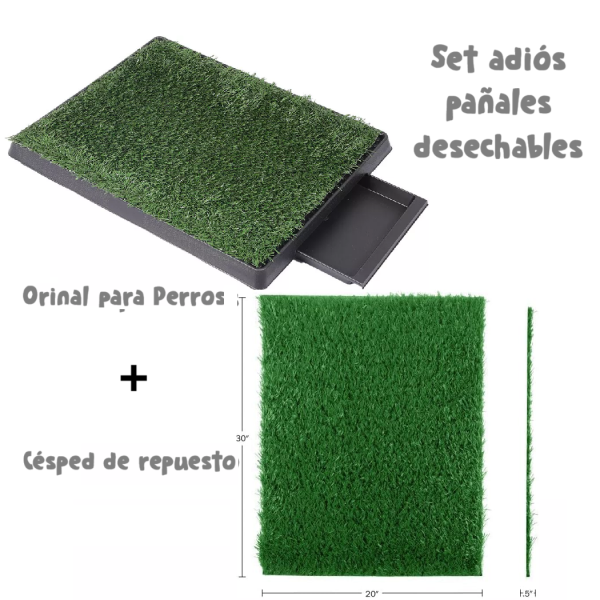 Set adiós pañales desechables -Grama Sanitaria para Perros con bandeja extraíble